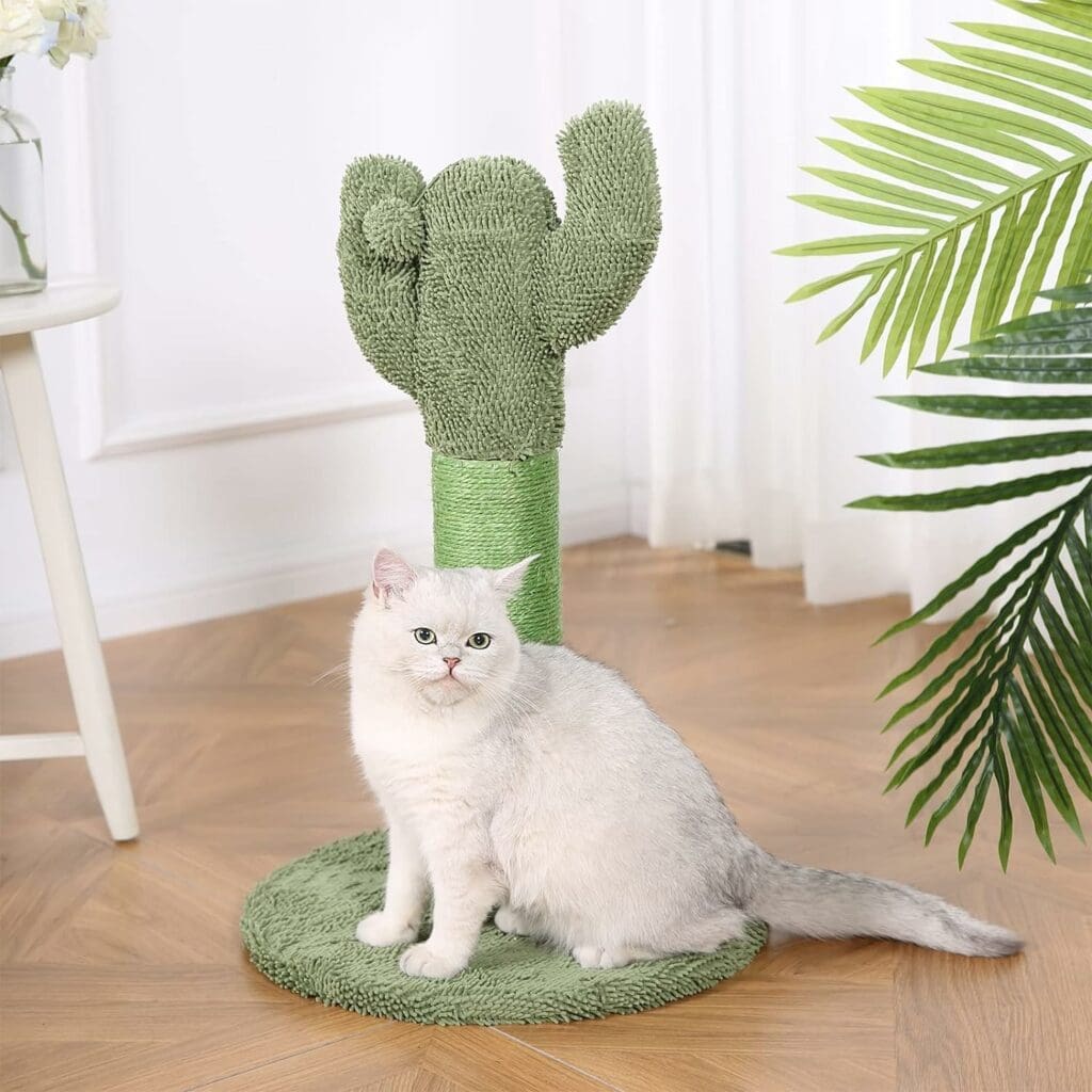 Amazon Basics Cactus Cat Scratching Post with Dangling Ball, 25.6 Inches, Green
