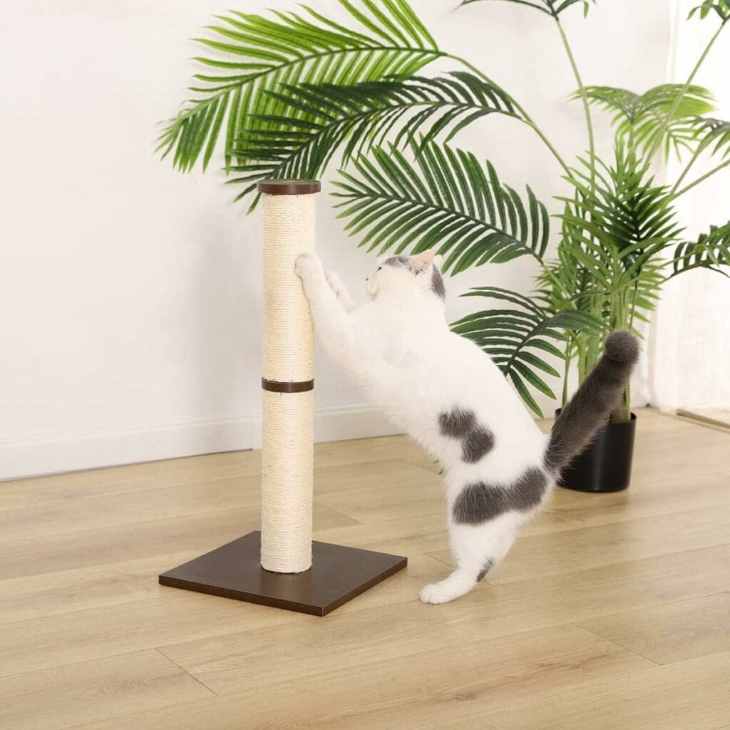 Amazon Basics Cat Scratching Post with Brush, Beige