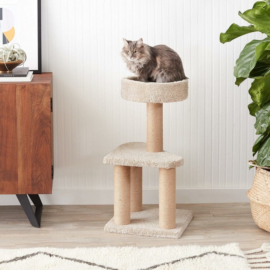 Amazon Basics Cat Tree Indoor Climbing Activity Cat Tower with Scratching Posts, Medium, 15.7 x 31.5 Inches, Beige
